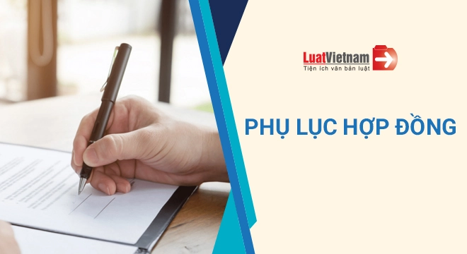 Phụ lục hợp đồng là gì? Có bắt buộc phải ký phụ lục không?