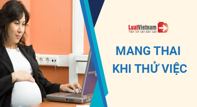Lao động nữ mang thai khi thử việc có bị đuổi việc không?