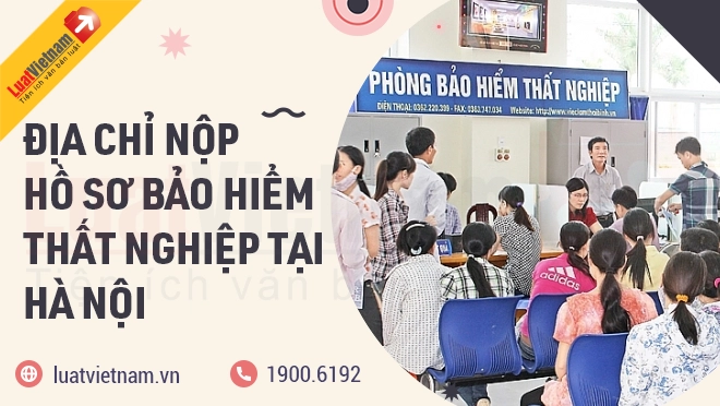 luatvietnam.vn