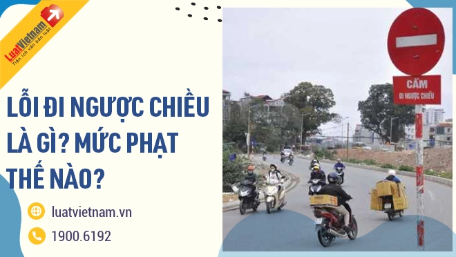 Thế nào là lỗi đi ngược chiều? Mức phạt lỗi đi ngược chiều