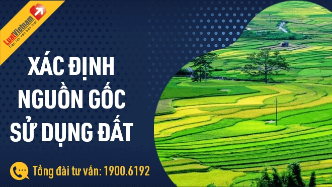 Cách Xác định Nguồn Gốc Sử Dụng đất Khi Làm Sổ đỏ