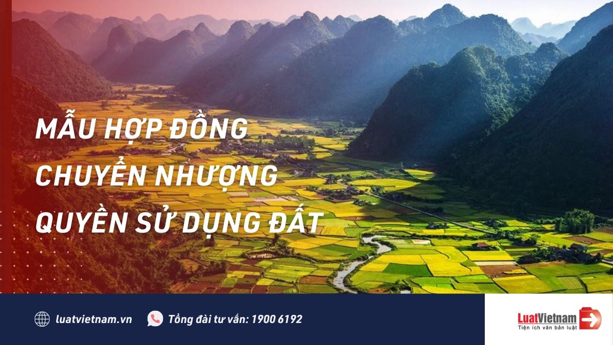 Mẫu Hợp đồng chuyển nhượng quyền sử dụng đất theo Nghị định 02/2022