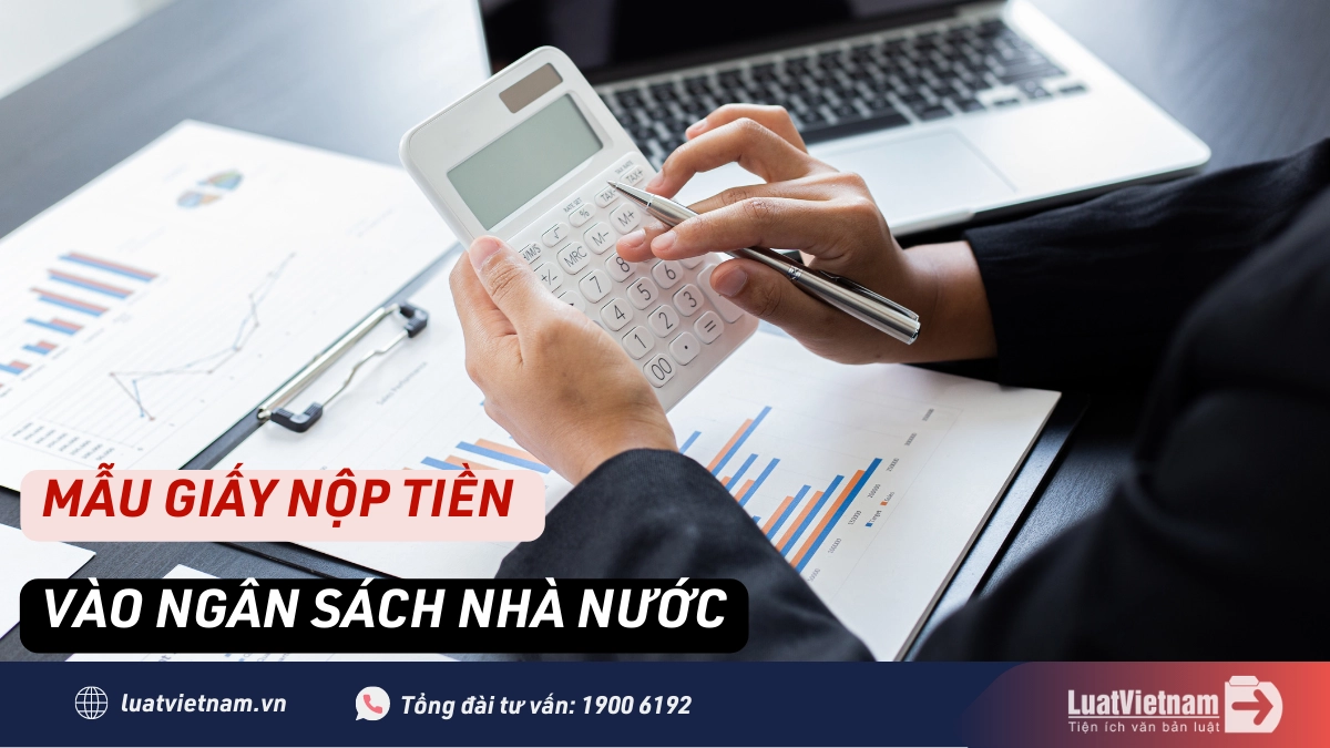 Mẫu Giấy nộp tiền vào ngân sách nhà nước (Mẫu C1-02/NS)