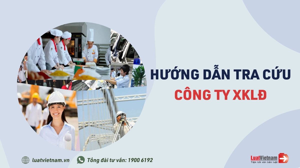 Tra cứu các công ty xuất khẩu lao động được cấp phép hoạt động