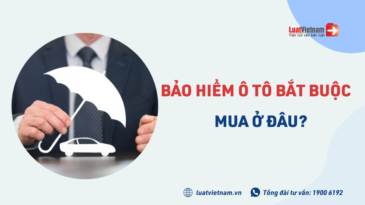 Bảo hiểm ô tô bắt buộc mua ở đâu? Nên mua của hãng nào?