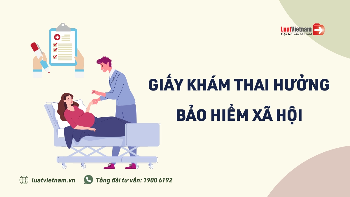 Làm thế nào để điền thông tin vào mẫu giấy siêu âm thai?
