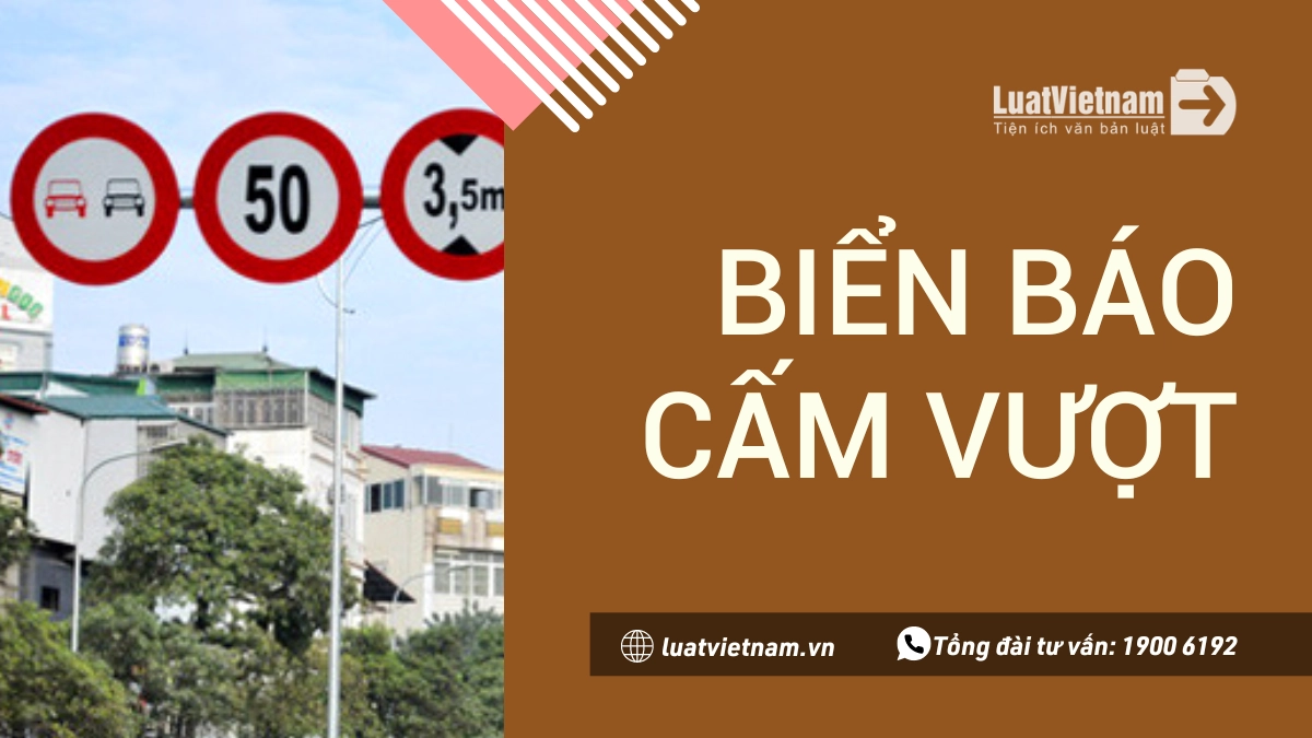 luatvietnam.vn