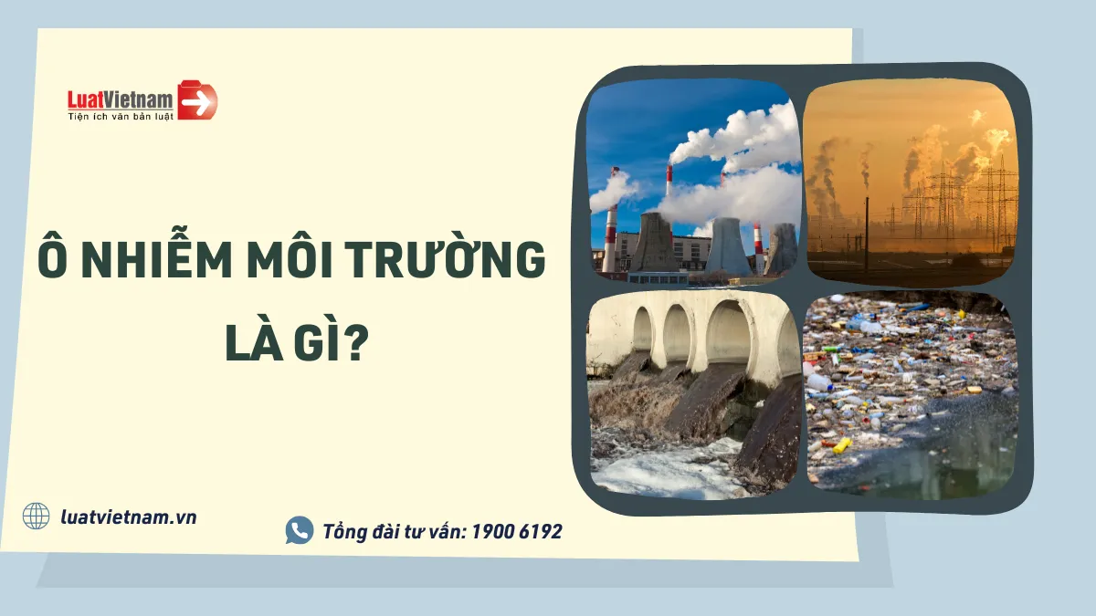 Tình trạng ô nhiễm môi trường hiện nay ở Việt Nam như thế nào?