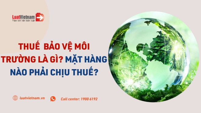 Đối tượng nào phải nộp thuế bảo vệ môi trường trong tiếng Anh?
