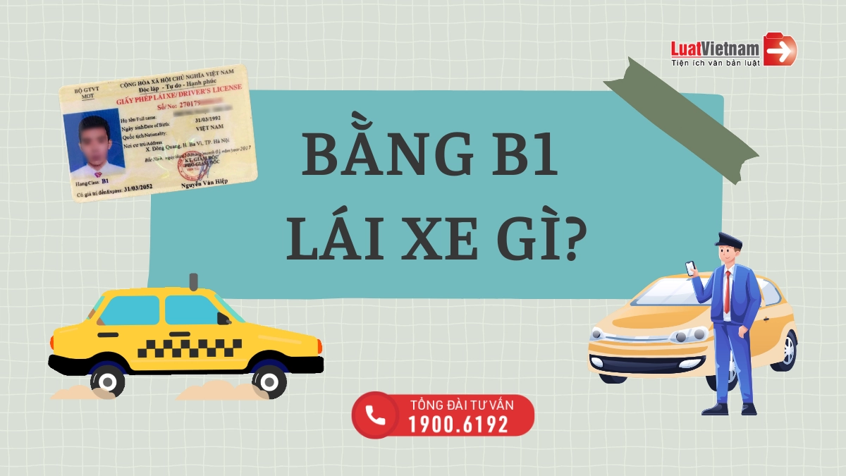 Bằng B1 lái xe gì? Nên học và thi bằng B1 số sàn hay số tự động?