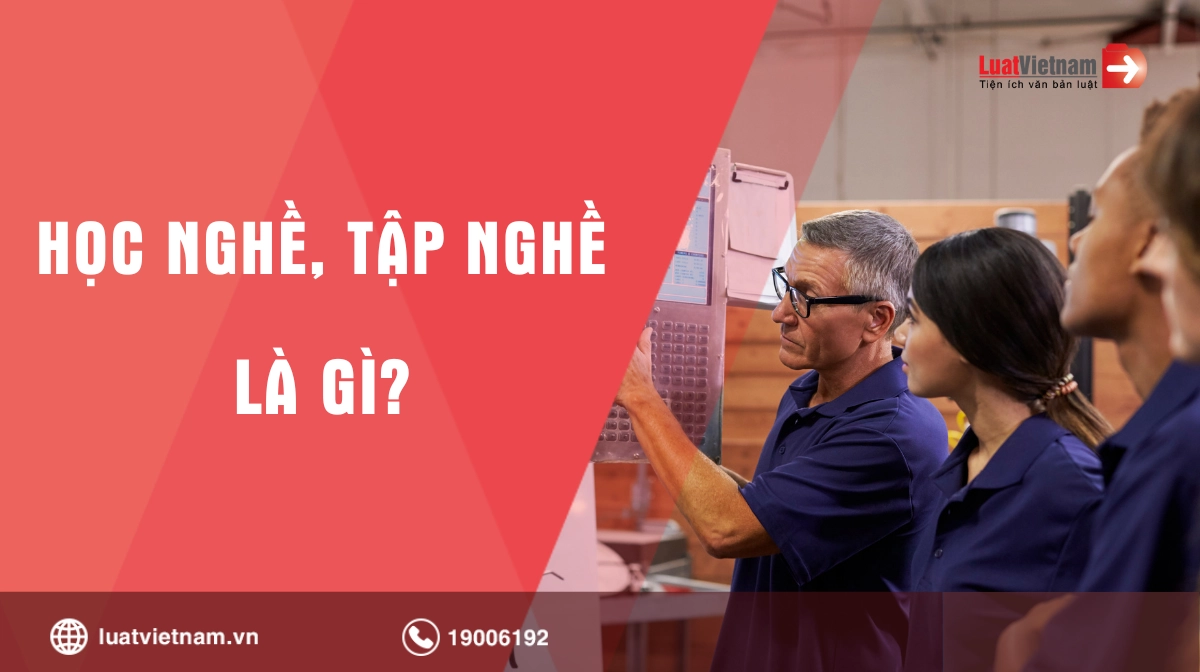 Cần những kỹ năng gì để học nghề tiếng Anh?
