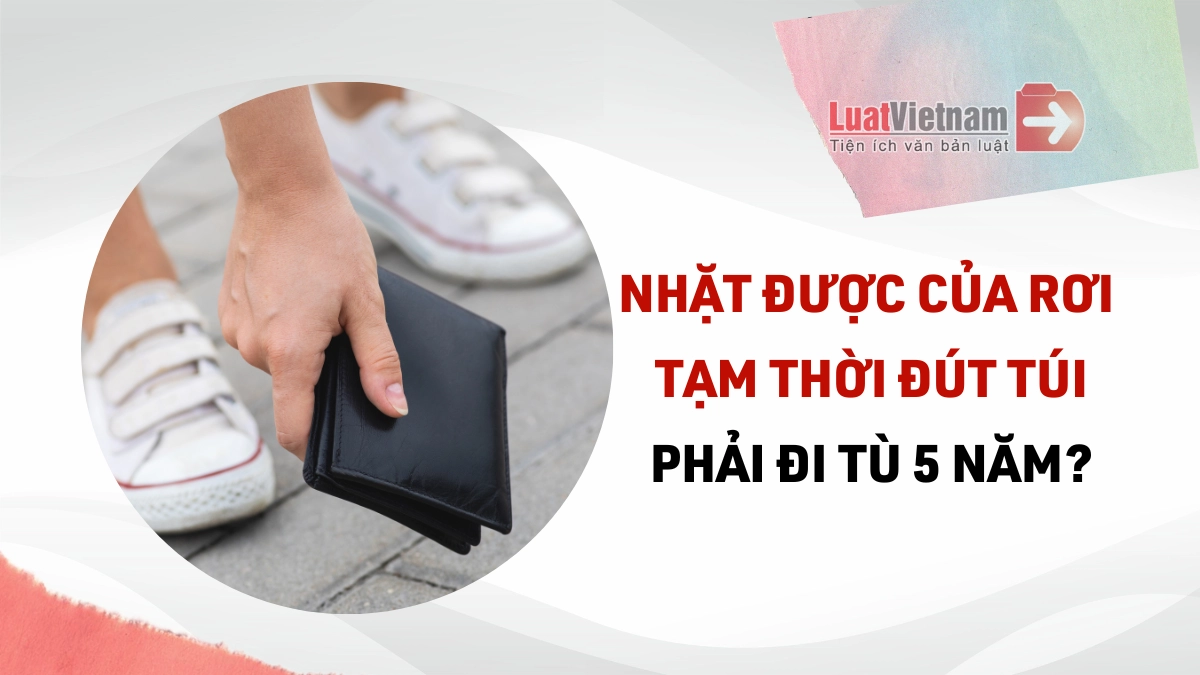 luatvietnam.vn