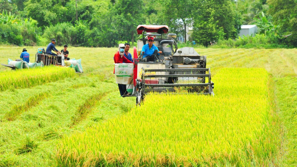 Cách phân biệt đất trồng lúa nước còn lại và đất trồng lúa khác như thế nào? 
