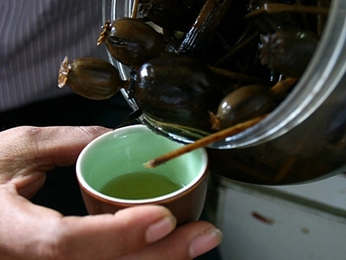 NGÂM RƯỢU CẦN SA TƯƠI HAY KHÔ