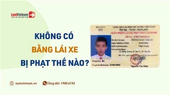 Năm [year], không có bằng lái xe phạt bao nhiêu? 