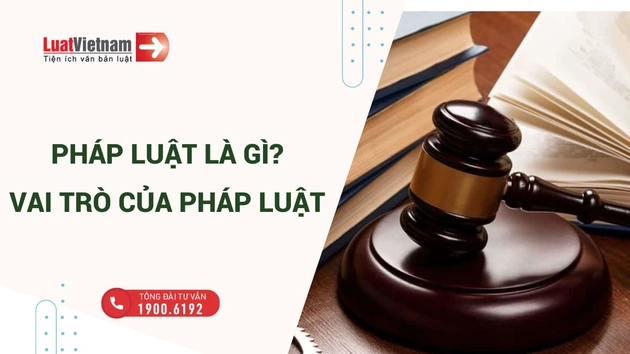 phap luat la gi