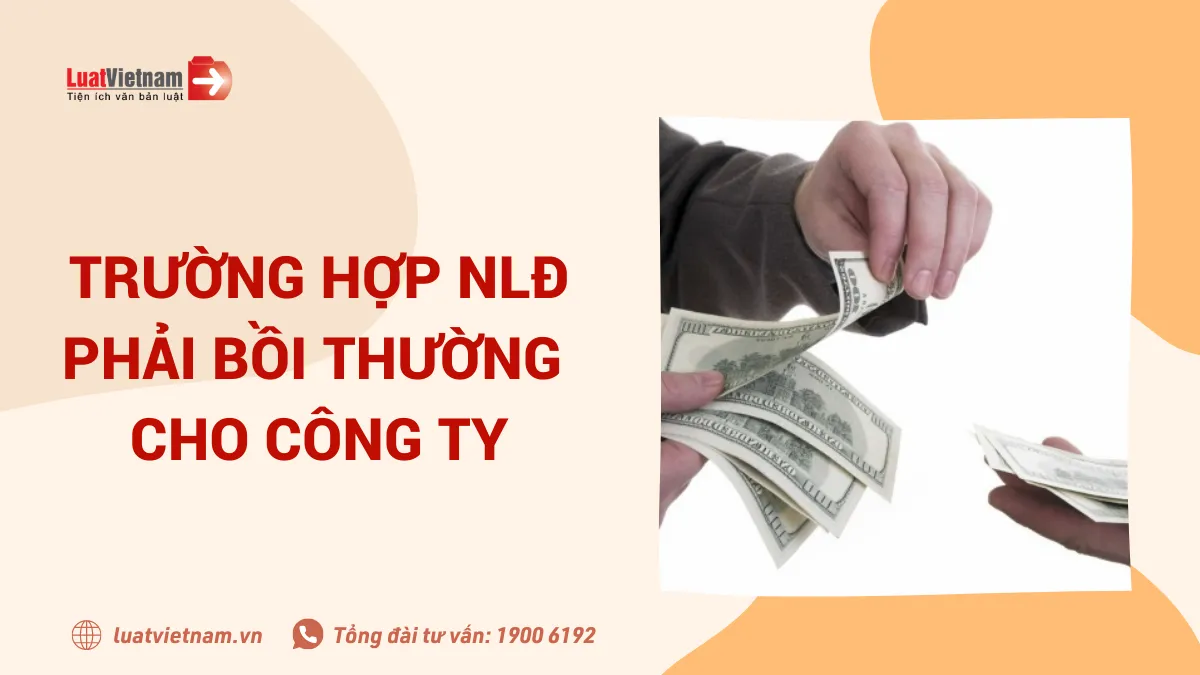 truong hop nguoi lao dong phai boi thuong