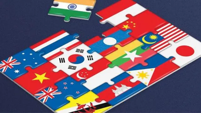 Implementation of trade remedies in the RCEP Agreement