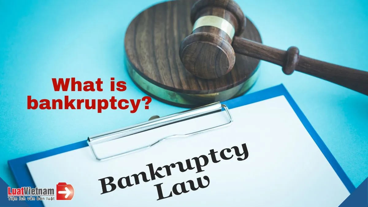 What is bankruptcy