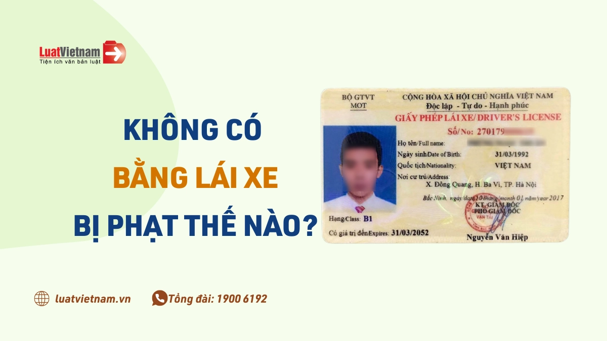 khong co bang lai xe