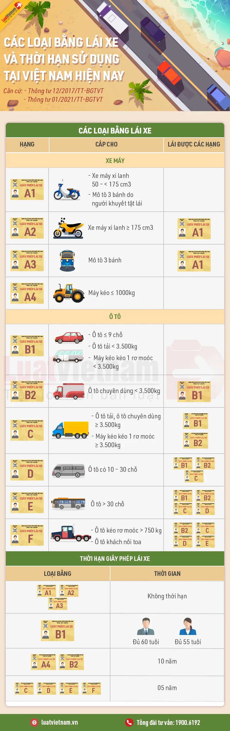 Infographic các loại bằng lái xe và thời hạn sử dụng