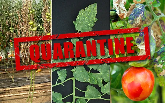 living things subject to plant quarantine