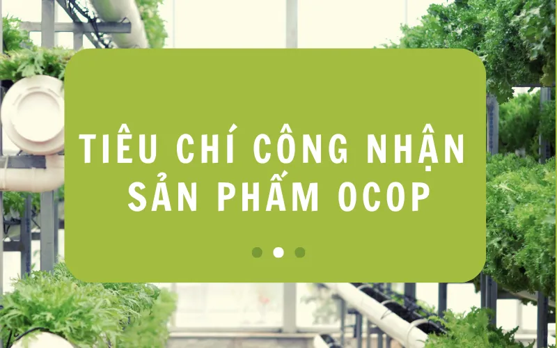 tieu-chi-cong-nhan-san-pham-ocop