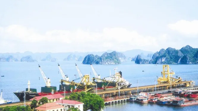 Cảng Sài Gòn là 1 trong những cảng lớn nhất tại Việt Nam