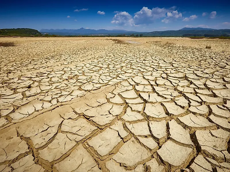 Hậu quả của ô nhiễm môi trường đã khiến quá trình sa mạc hóa diễn ra nhanh chóng