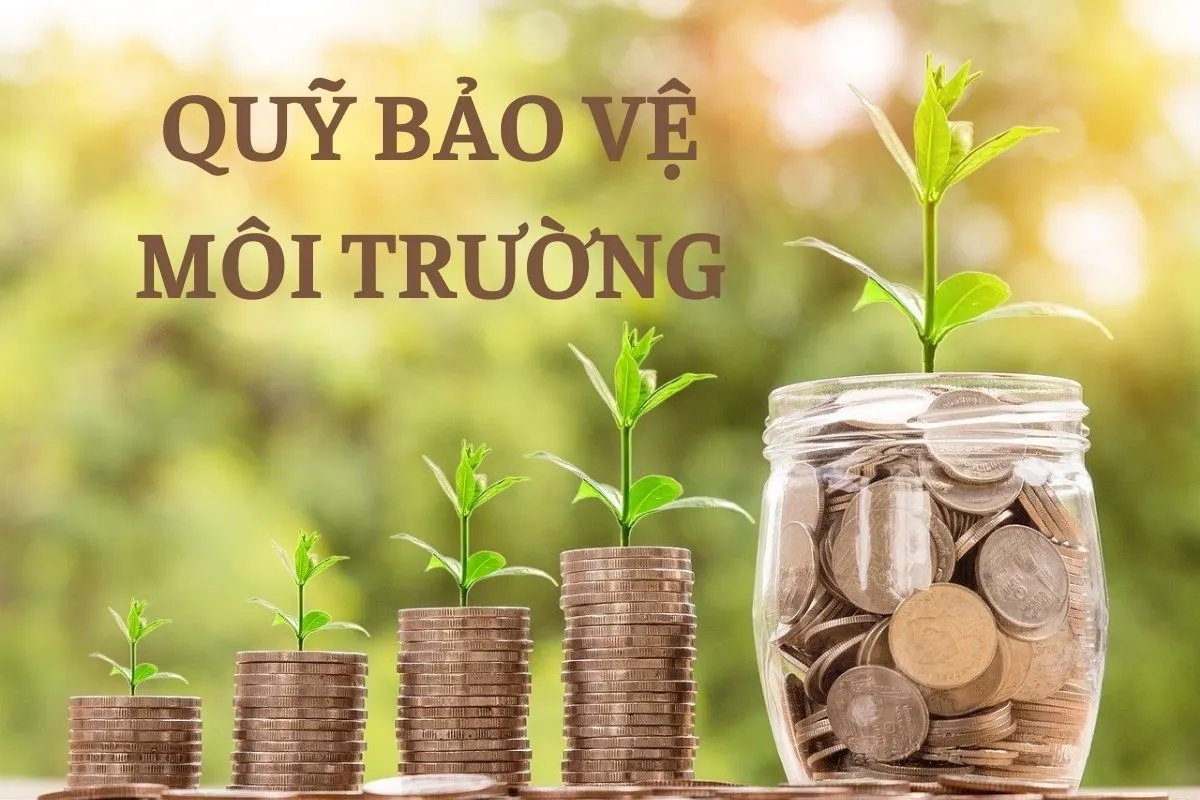 Quỹ Bảo vệ môi trường Việt Nam